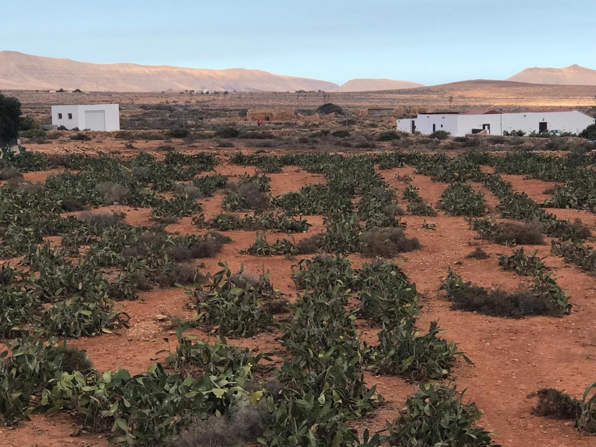 El Alegato Casa De Invitados * Antigua (Fuerteventura)